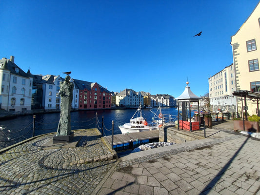 A Day in Alesund: Art & Architecture. Flightseeing & Birdwatching