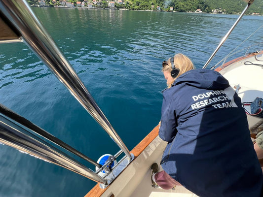 🌊 Pre‑Season Trip Inspection in Kotor: Dolphin Watching Experience 🐬