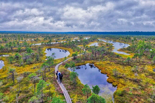 Great Kemeri Bog Boardwalk & Open Air Museum