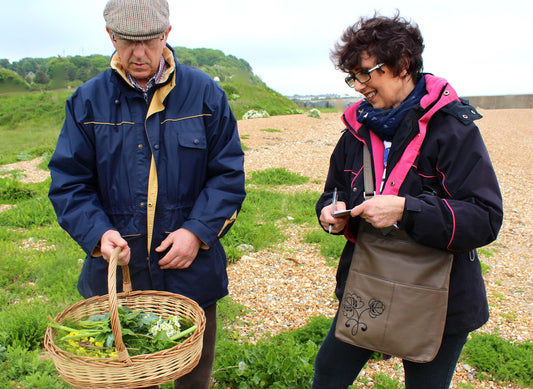 Full Day Foraging Experience with lunch