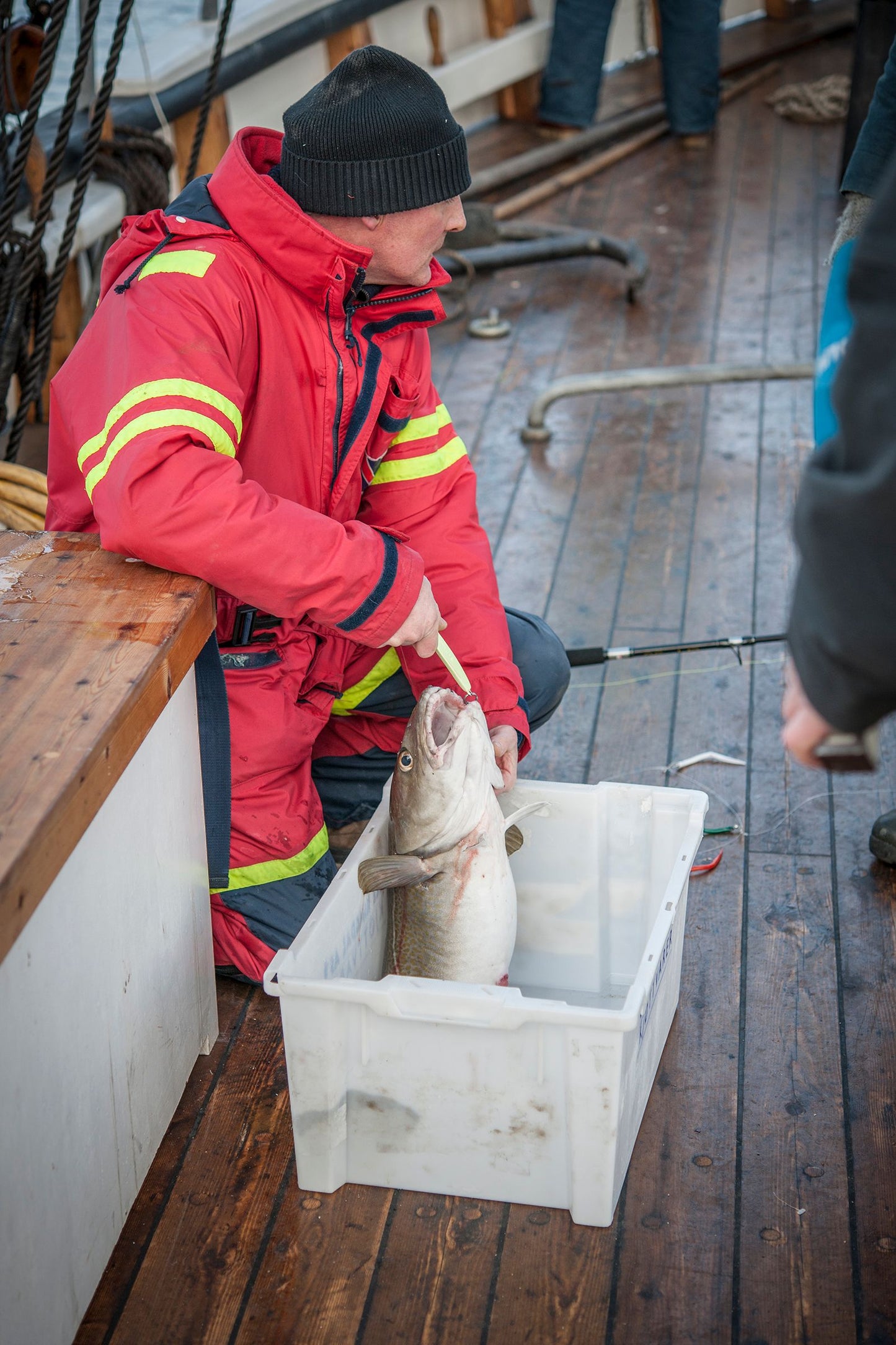 Fishing Legacy of Alesund: Learn & Fish