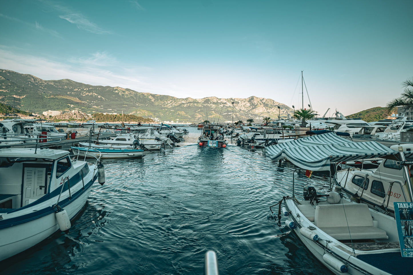 Live a Day Like a Kotor Fisherman