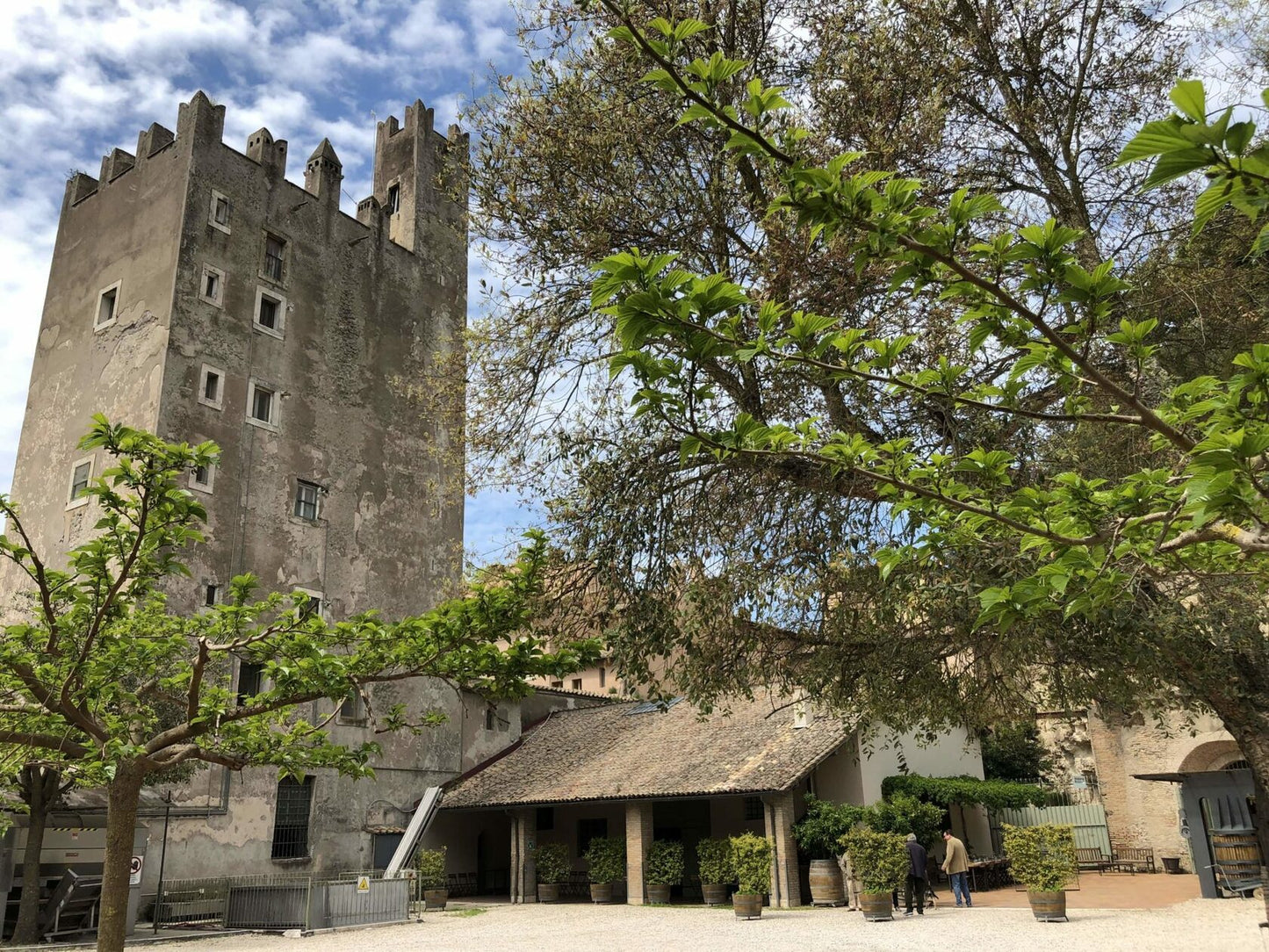 Tasting in Castello di Torre