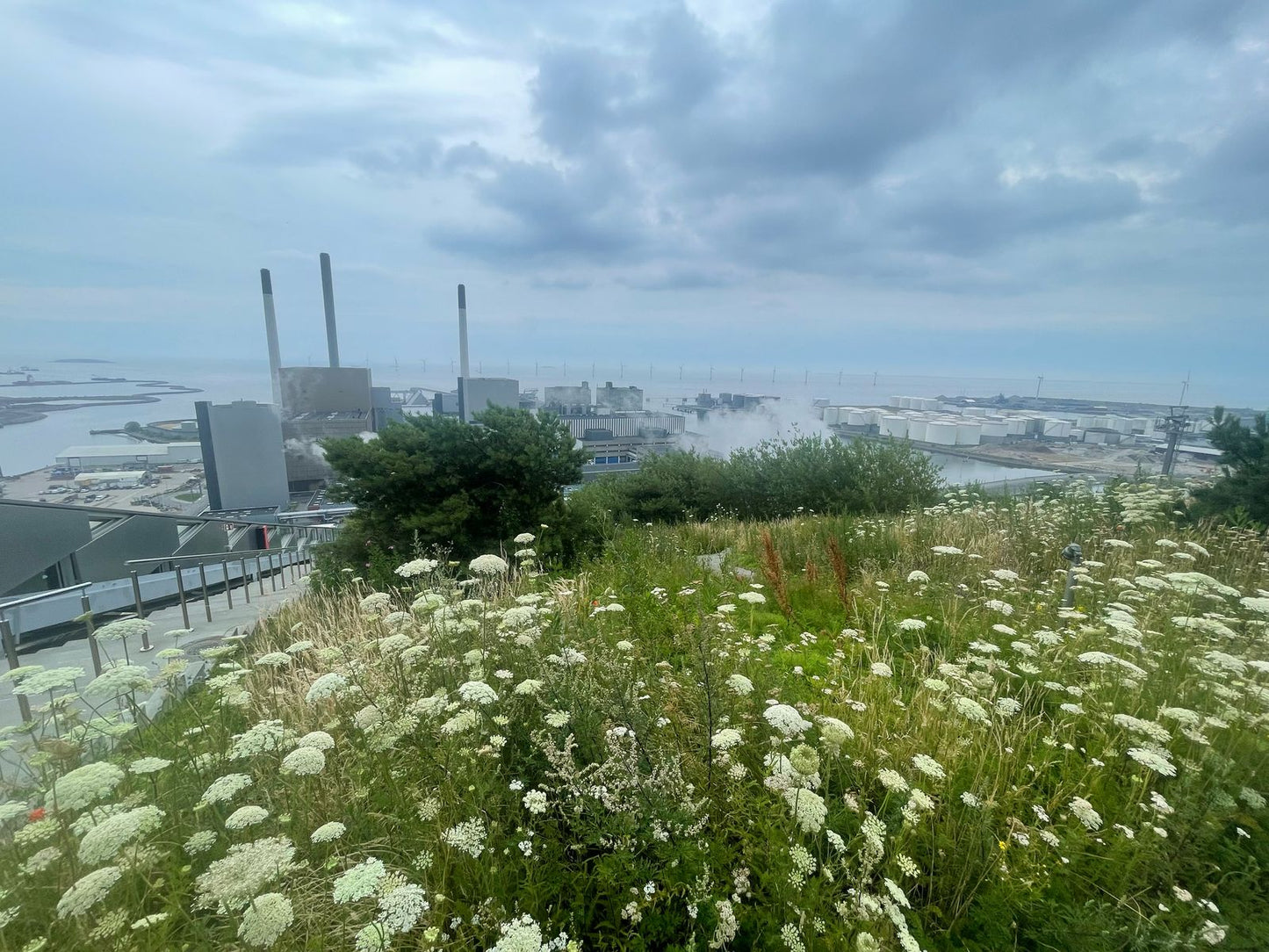 Sustainable Copenhagen & Craft Beer Experience