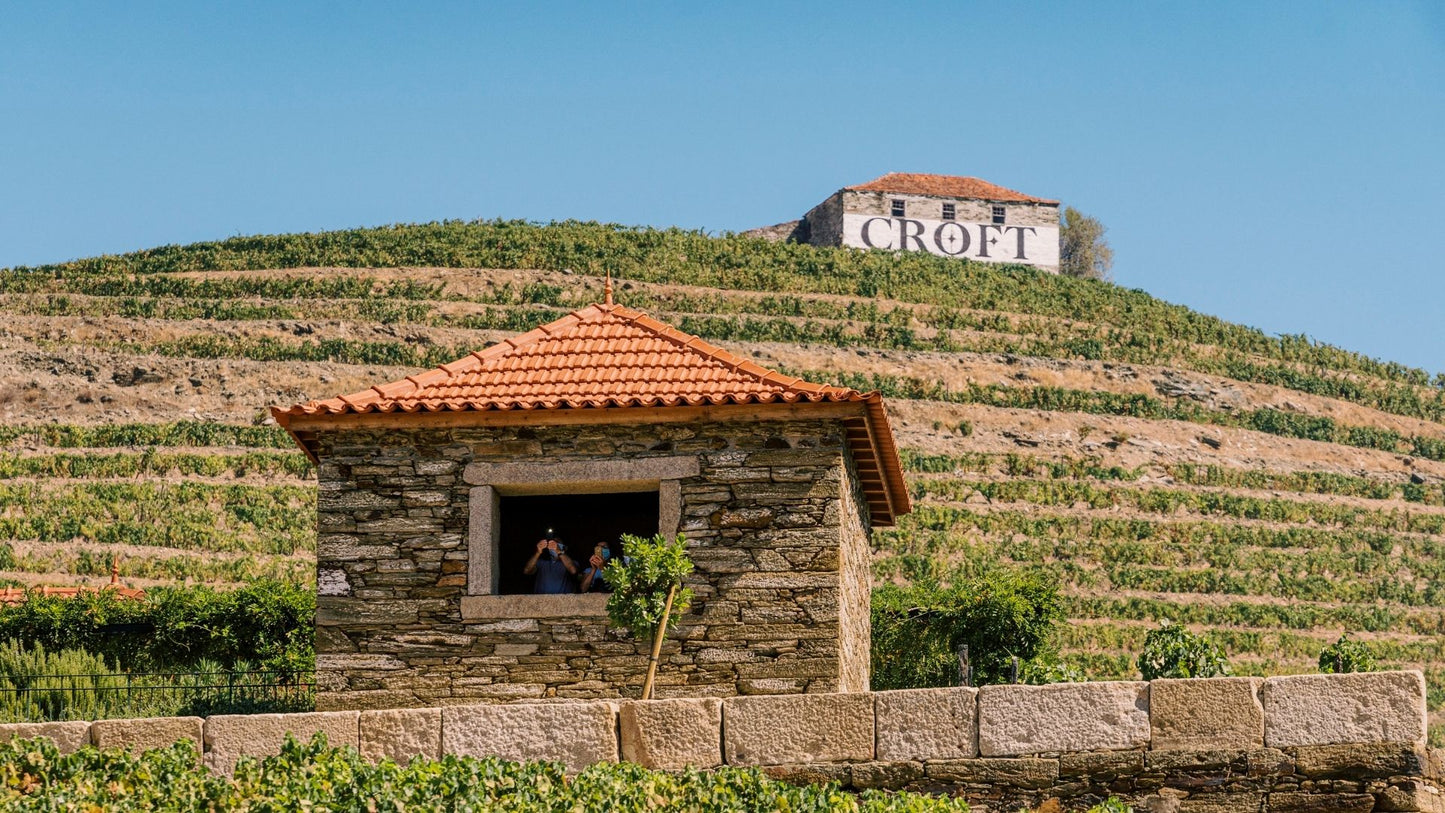 Tastes of Douro Valley