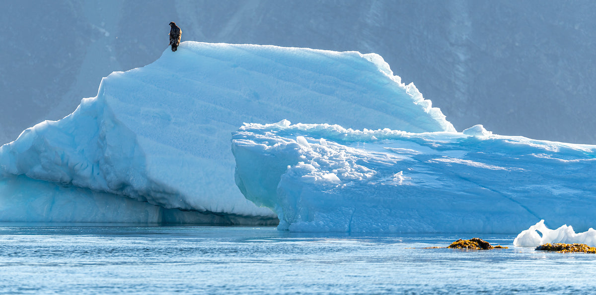 Nanortalik Iceberg Boat Tour