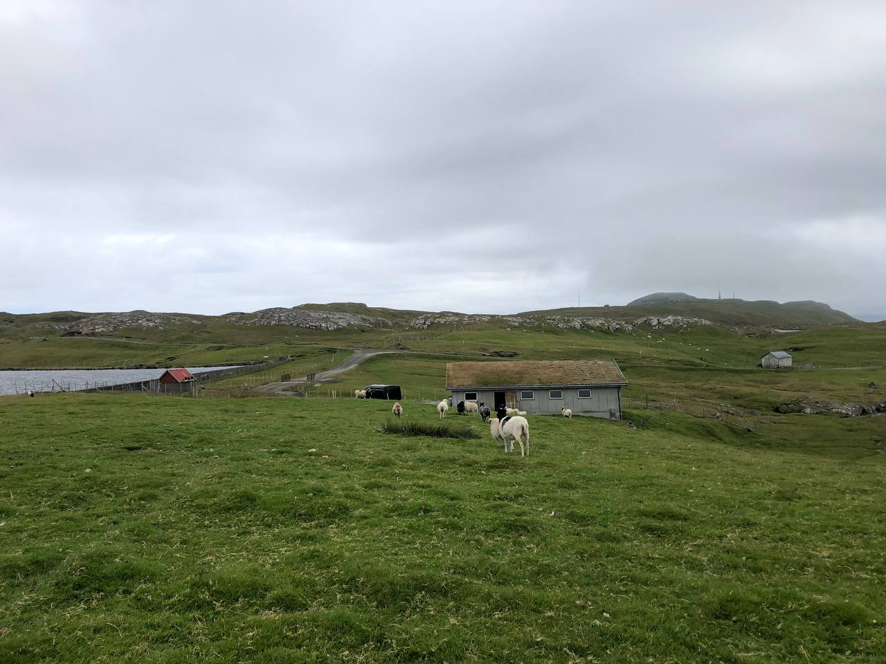 Torkilsheyggjsgarður Farm