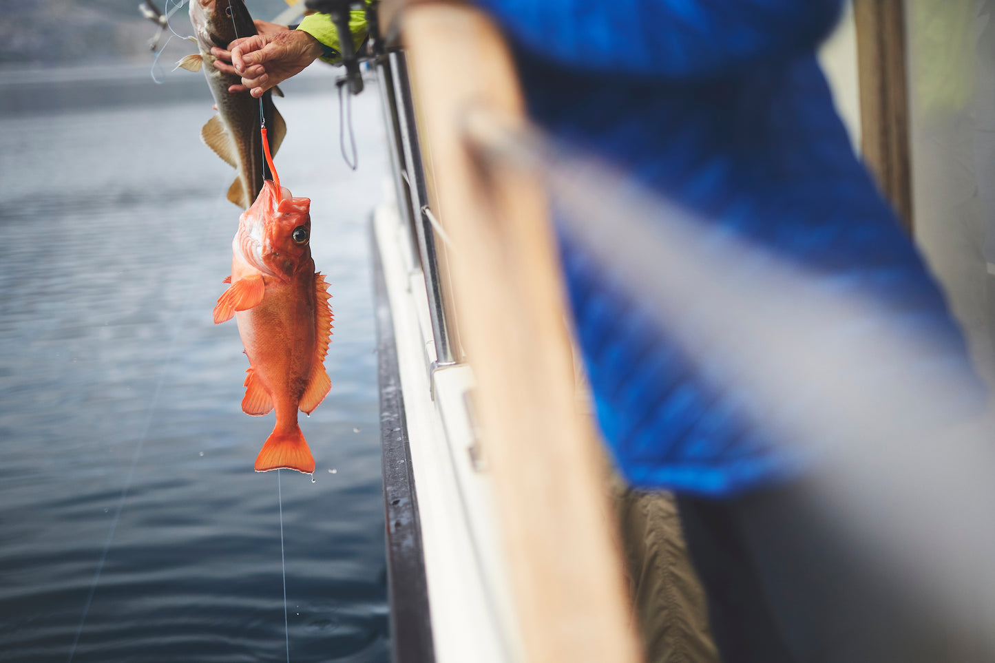 Fish & Dish with Captain Erik Palo