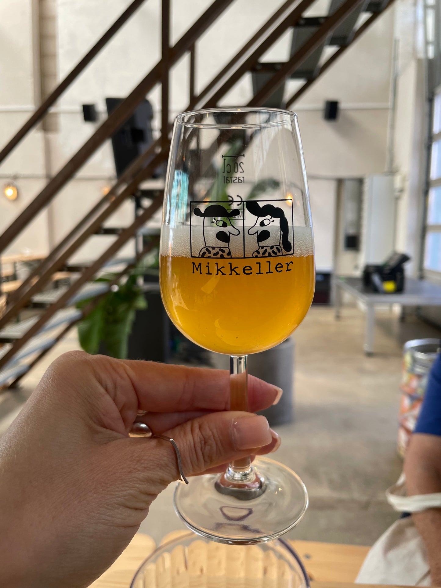 Sustainable Copenhagen & Craft Beer Experience