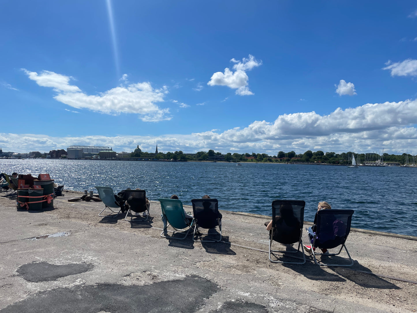 Sustainable Copenhagen & Craft Beer Experience