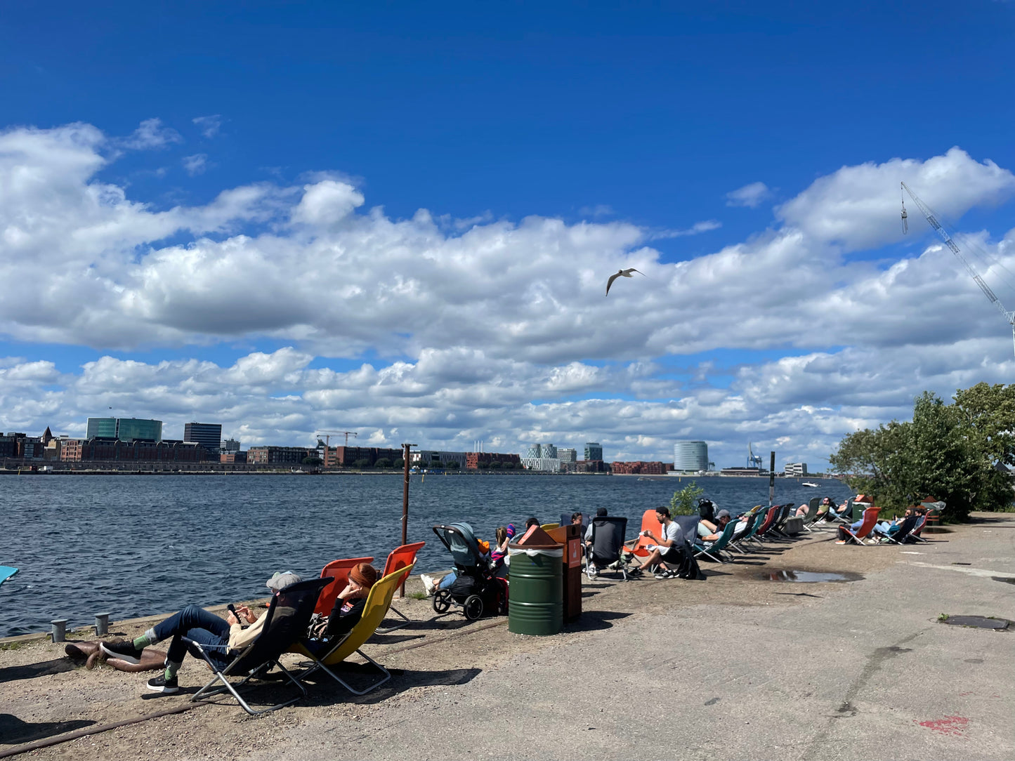 Sustainable Copenhagen & Craft Beer Experience