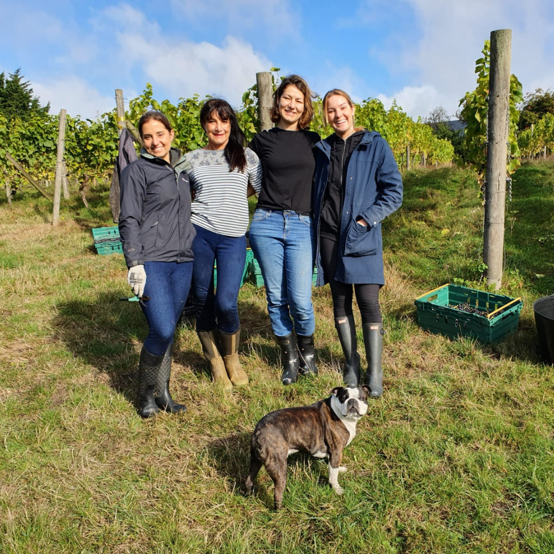 Terlingham Vineyard