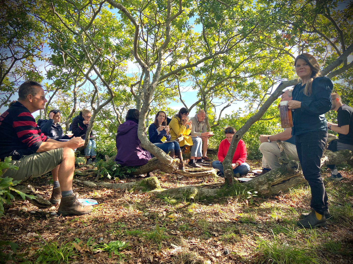 Full Day Foraging Experience with lunch