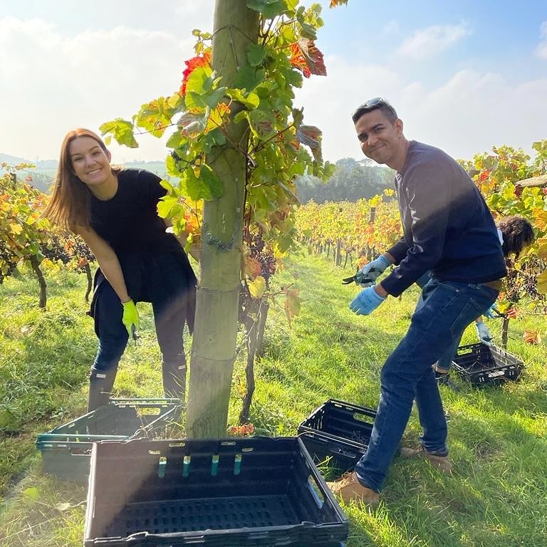 Terlingham Vineyard