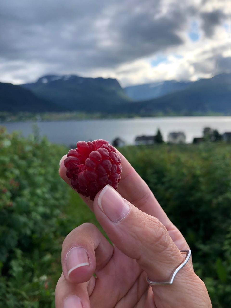 Tastes of the Fjord