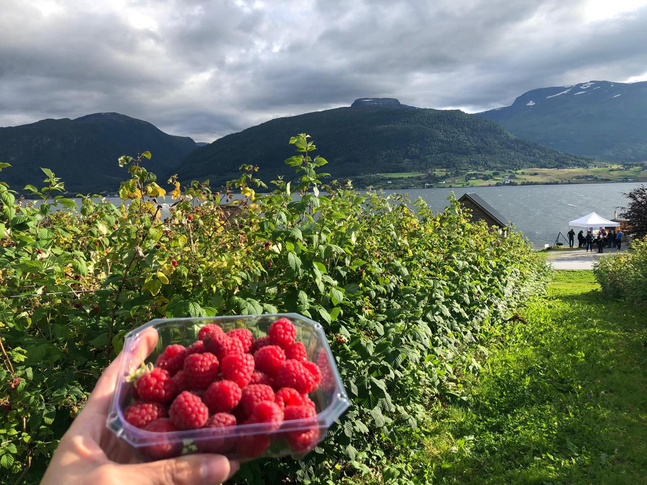 Tastes of the Fjord