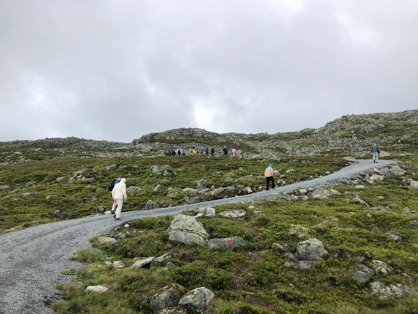 Mount Hoven Hiking & Loen Skylift Experience