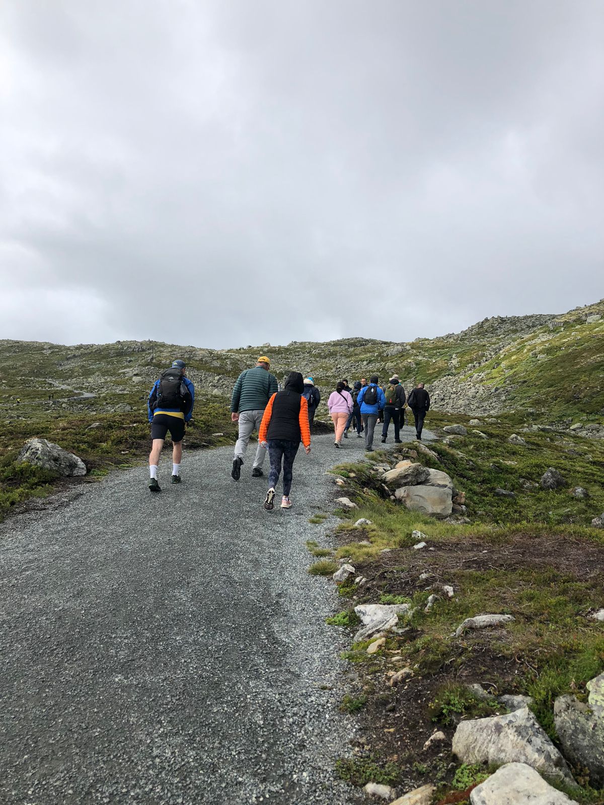 Mount Hoven Hiking & Loen Skylift Experience