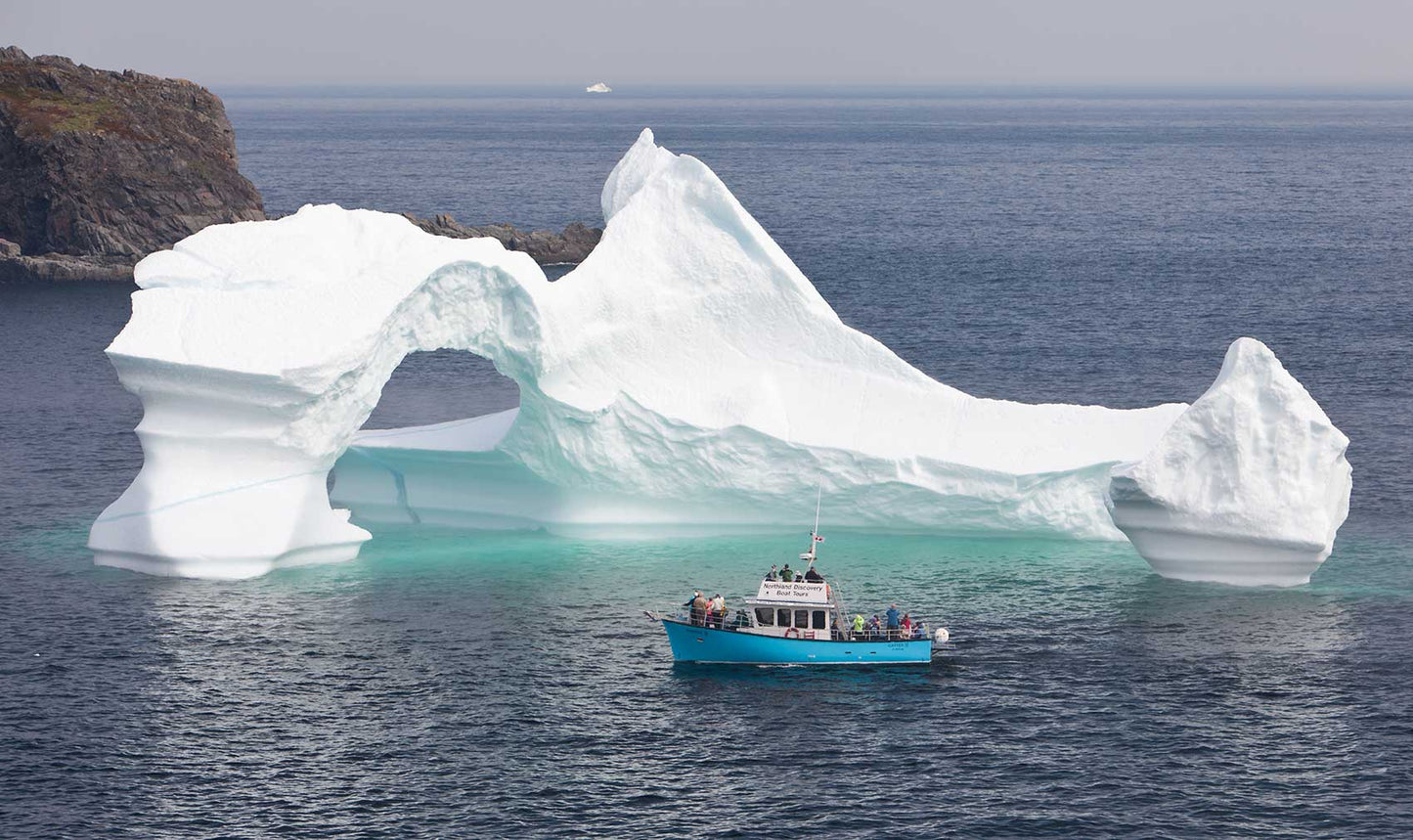 In Search of Icebergs by Boat