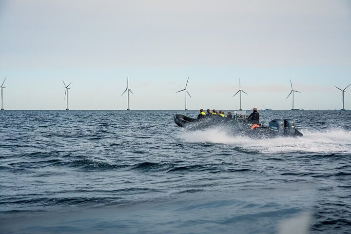 Offshore Windmill Climbing & Copenhagen City Tour