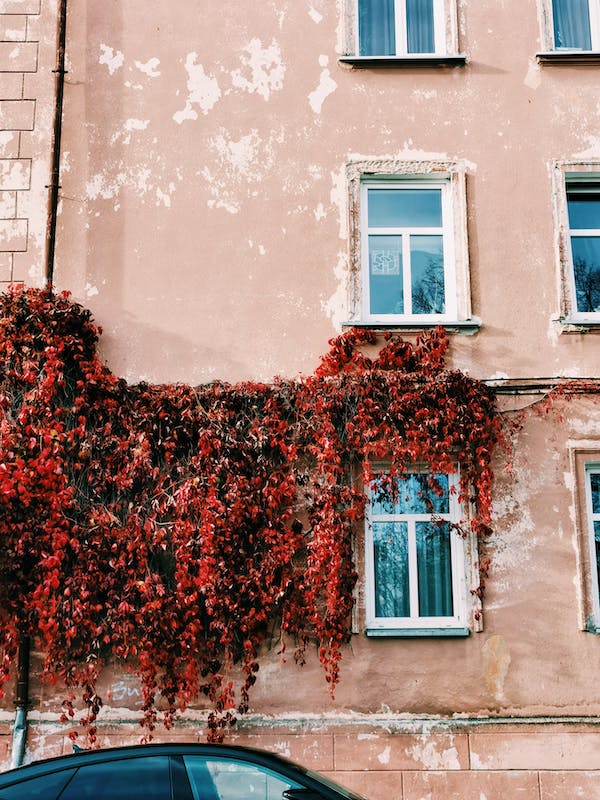 Jewish life in Klaipeda