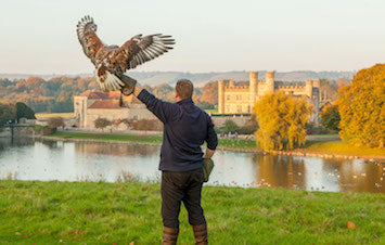 Private Leeds Castle Tour and Falconry Display with Afternoon Tea (from Tilbury)